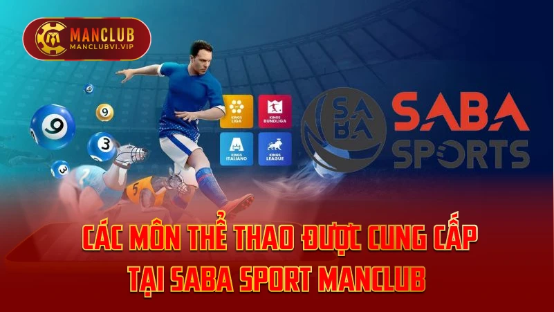 Các Môn Thể Thao Được Cung Cấp Tại Saba Sport ManClub