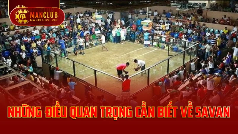 Những điều quan trọng cần biết về Savan