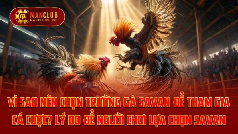 Lý do để người chơi lựa chọn Savan