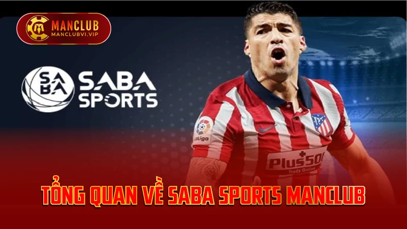 Tổng Quan Về Saba Sports ManClub